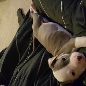 Meet your Posher, Tiera