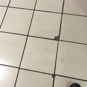 Meet your Posher, Steve