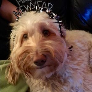 Meet your Posher, April