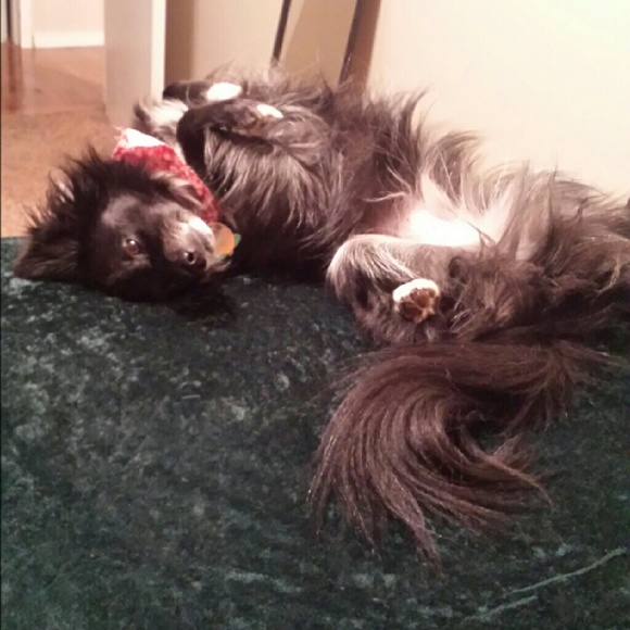 Meet your Posher, Aiza - Picture 3 of 4