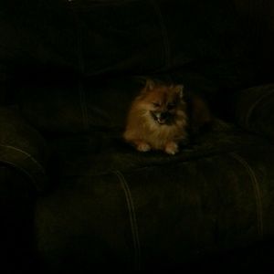 Meet your Posher, Rhonda