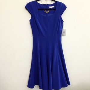 Calvin Klein Scoop Neck Fit and Flare Dress