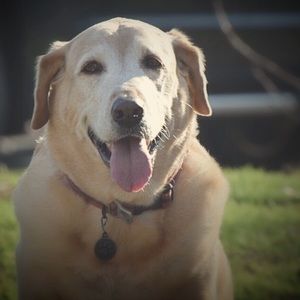 Meet your Posher, Michele