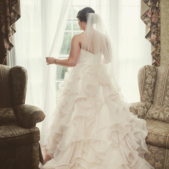 Meet your Posher, Sammie