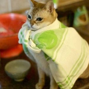 Meet your Posher, Heather