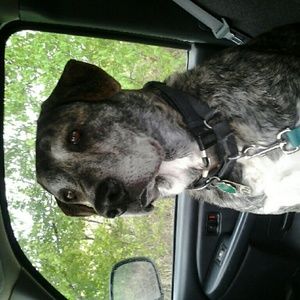 Meet your Posher, Kate