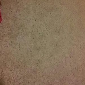 Meet your Posher, Winnie