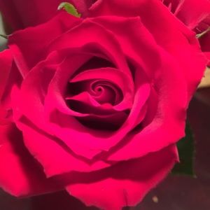 Meet your Posher, Sahar