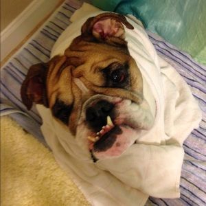 Meet your Posher, June