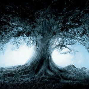 Meet your Posher, Odalys