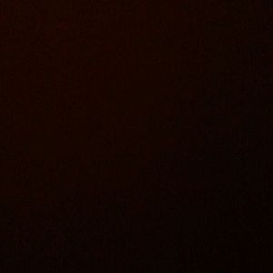 Meet your Posher, Cheyenne