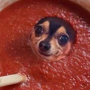 Meet your Posher, Gabby