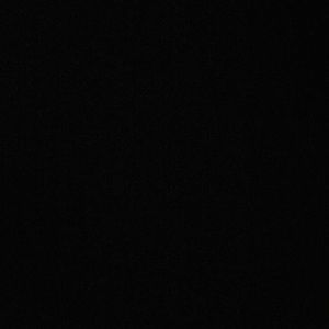 Meet your Posher, Eva