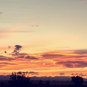 Meet your Posher, Jordyn