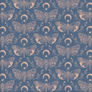 Meet your Posher, Carlie