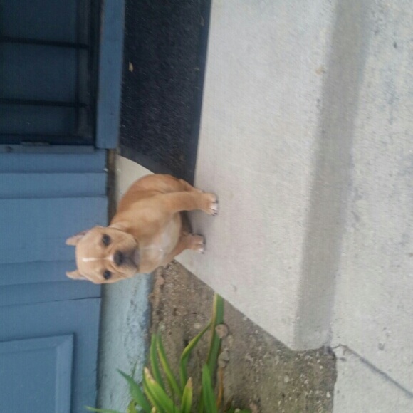 Meet your Posher, Mirella - Picture 1 of 1