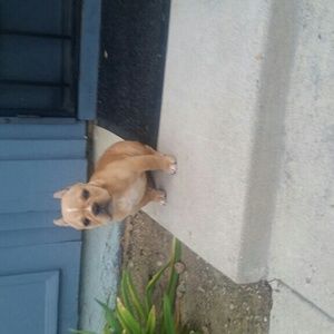 Meet your Posher, Mirella