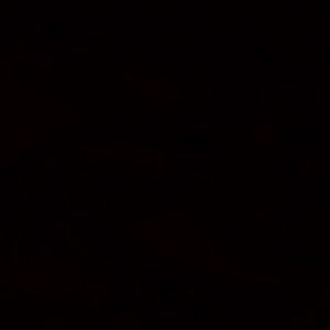 Meet your Posher, Alice