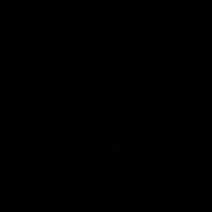 Meet your Posher, Bryce