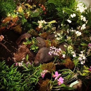 Meet your Posher, Alexandra