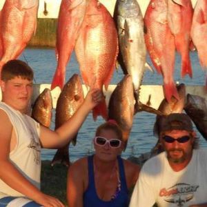 Meet your Posher, Dana