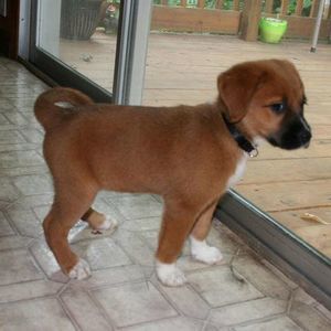 Meet your Posher, Emma