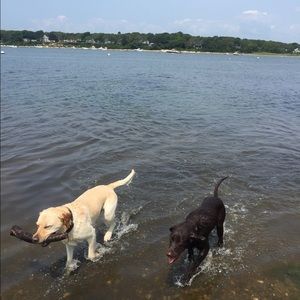 Meet your Posher, Nicole