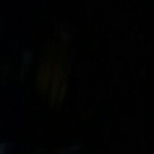 Meet your Posher, Jacquelyn