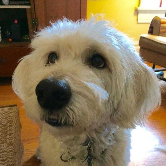 Meet your Posher, Dana - Picture 1 of 1