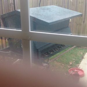 Meet your Posher, Evelyn