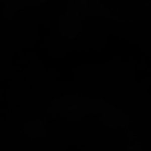 Meet your Posher, Autumn