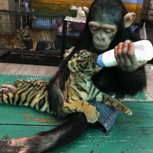 Meet your Posher, Rhonda