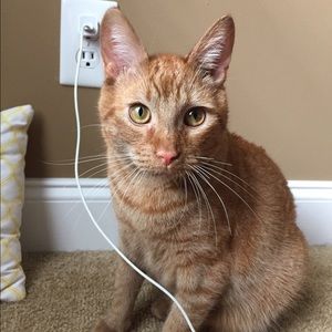 Meet your Posher, Chelsea