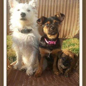 Meet your Posher, Kim