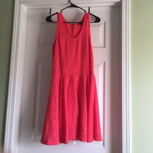 Express coral lace skater dress