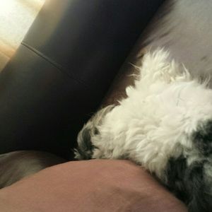 Meet your Posher, Janathan