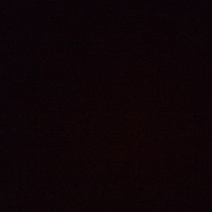 Meet your Posher, Rayna