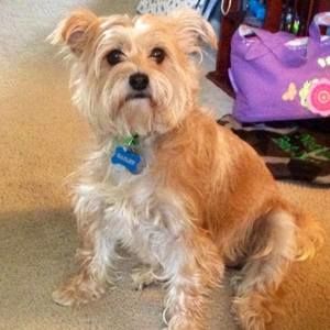 Meet your Posher, Christine