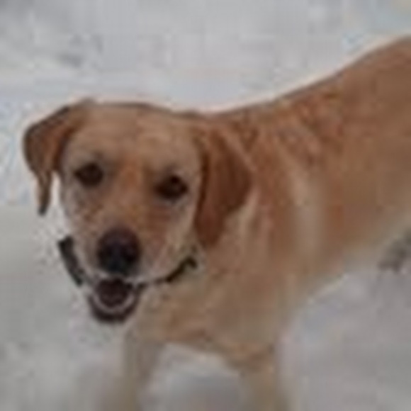 Meet your Posher, Nichole