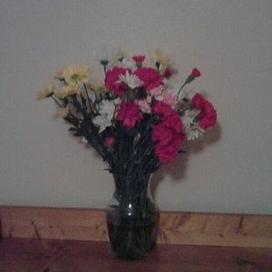 Meet your Posher, Ann