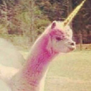 Meet your Posher, Rene