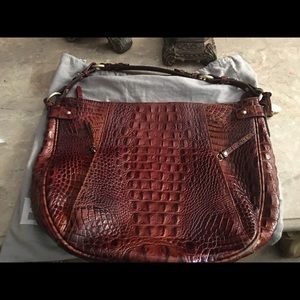 Brown 👜brahmin