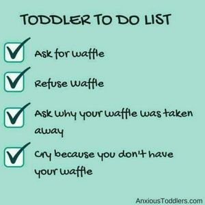 Meet your Posher, Lori