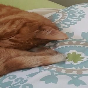 Meet your Posher, Suzie