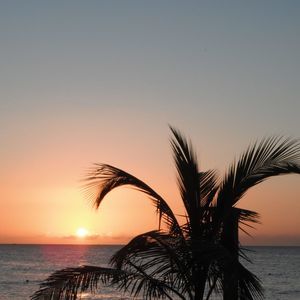 Meet your Posher, Barb