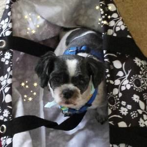 Meet your Posher, Cheryl