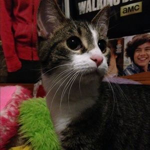 Meet your Posher, Ashley