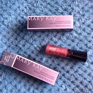 2 Mary Kay Nourish Plus Lip Gloss in Fancy Nancy