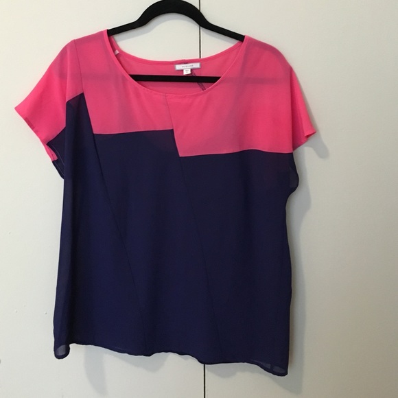 Pleione Pink and Navy Blouse