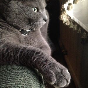 Meet your Posher, Erika